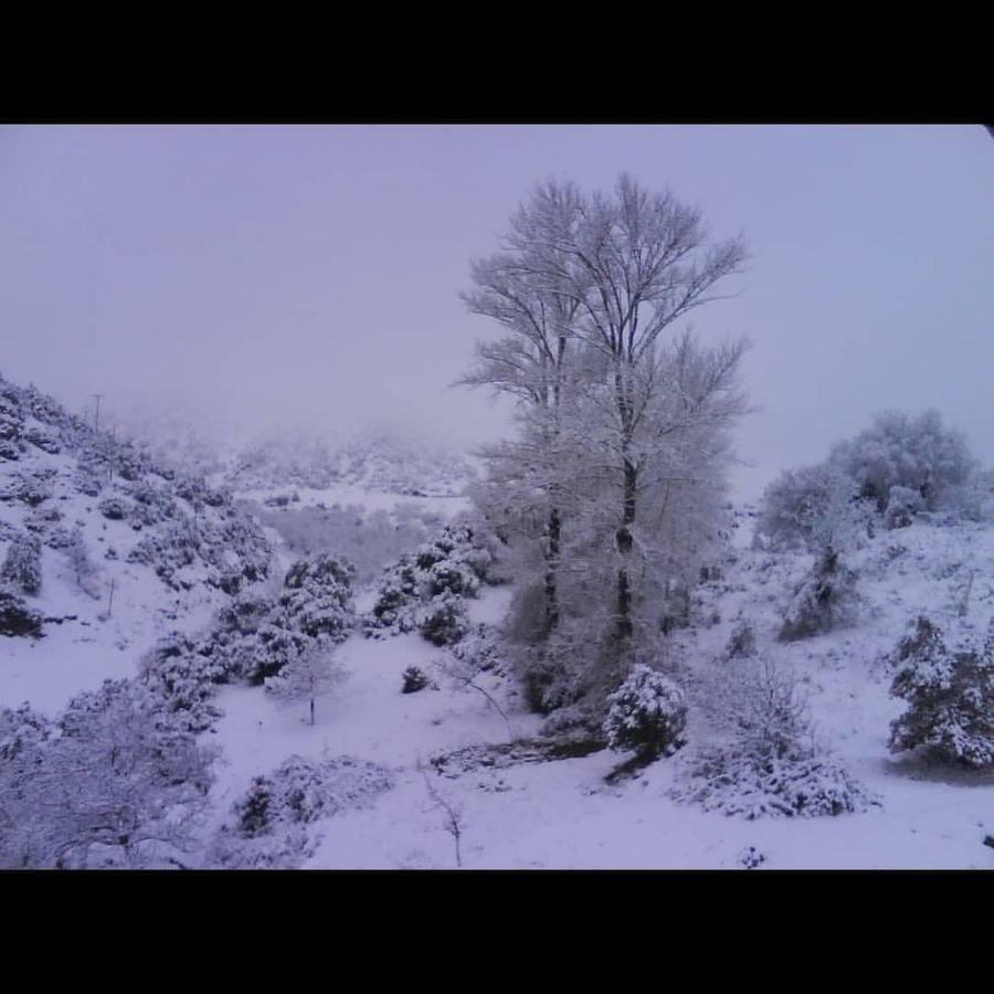 Villa Agno - Βίλα Αγνώ Ano Karies Eksteriør billede